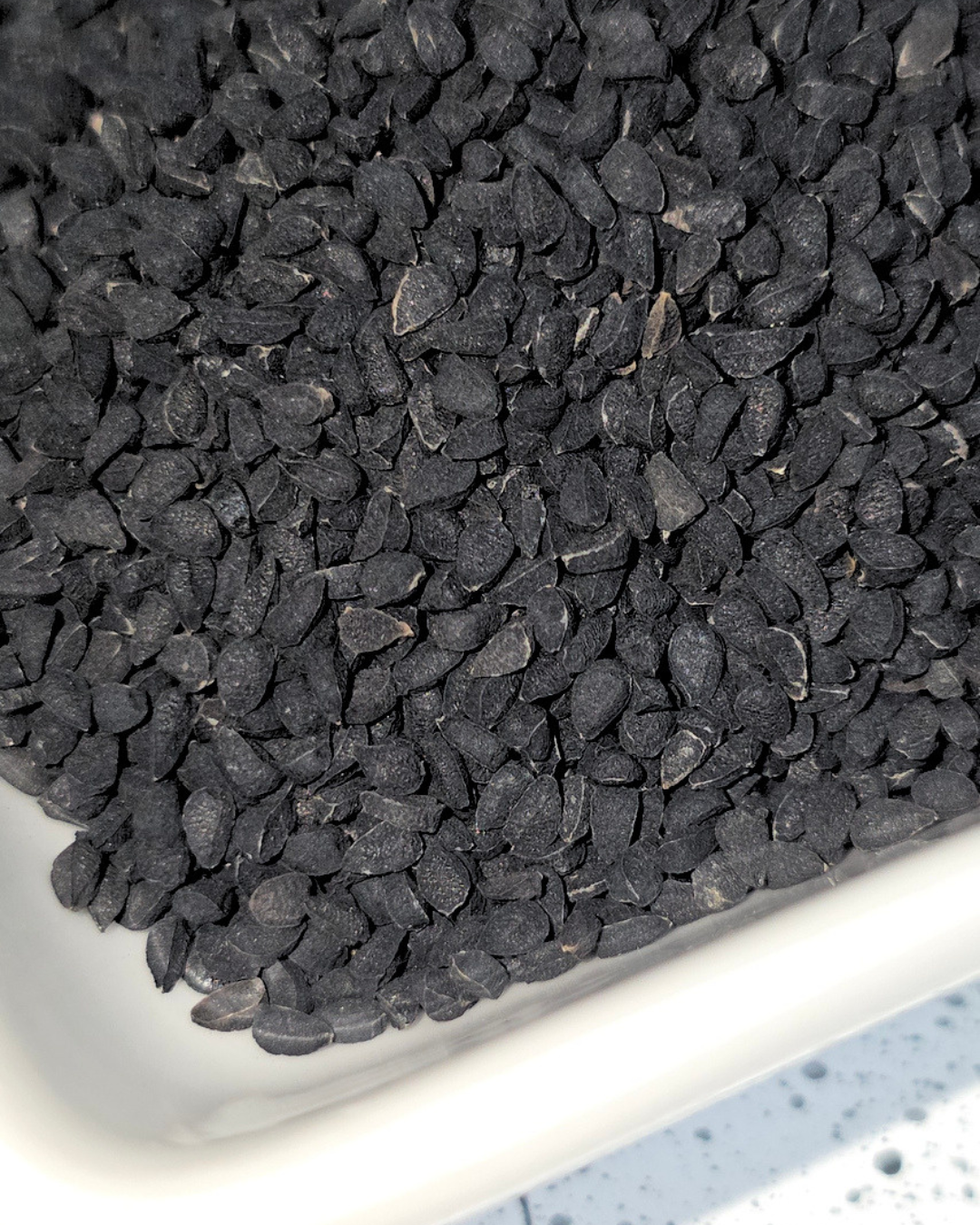 Black Cumin Seed