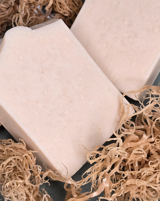 Shea Butter + Seamoss