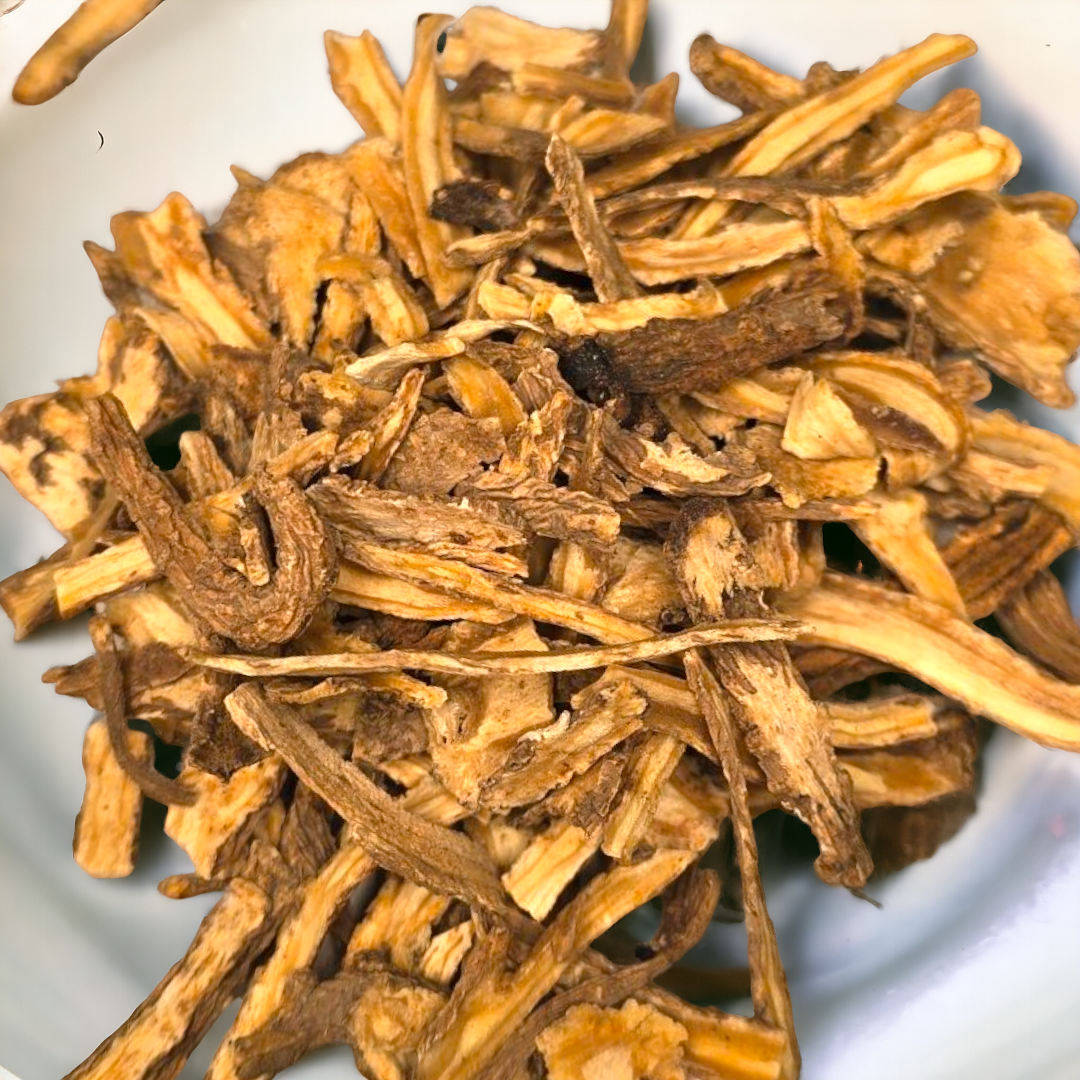 Dong Quai Root