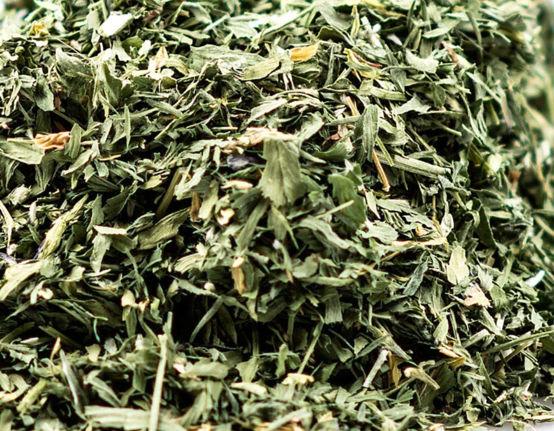 Alfalfa Leaf