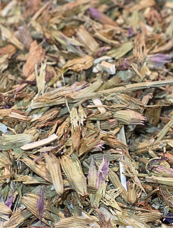 Hyssop