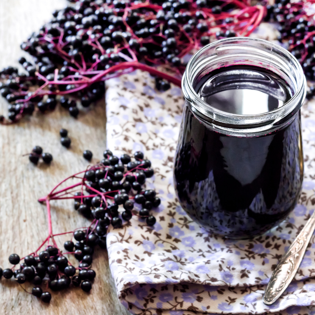 Elderberry Syrup