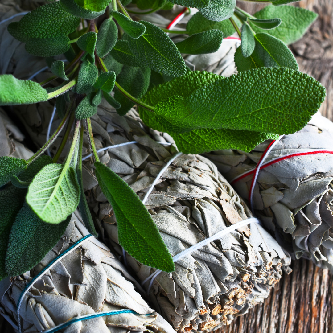 Smudge Herbs