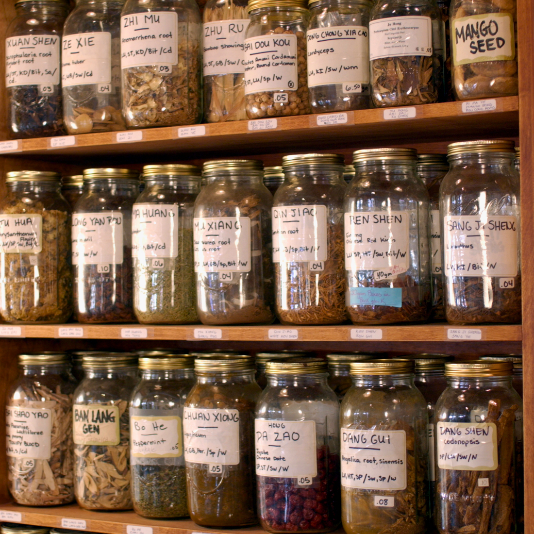 Herbal Medicine