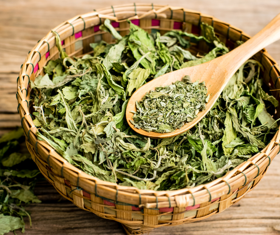 Stevia Leaf