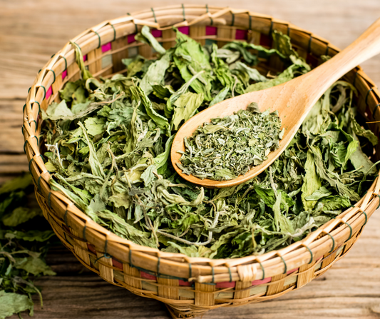 Stevia Leaf