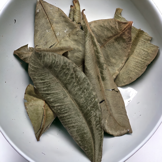 West Indian Bay Leaf