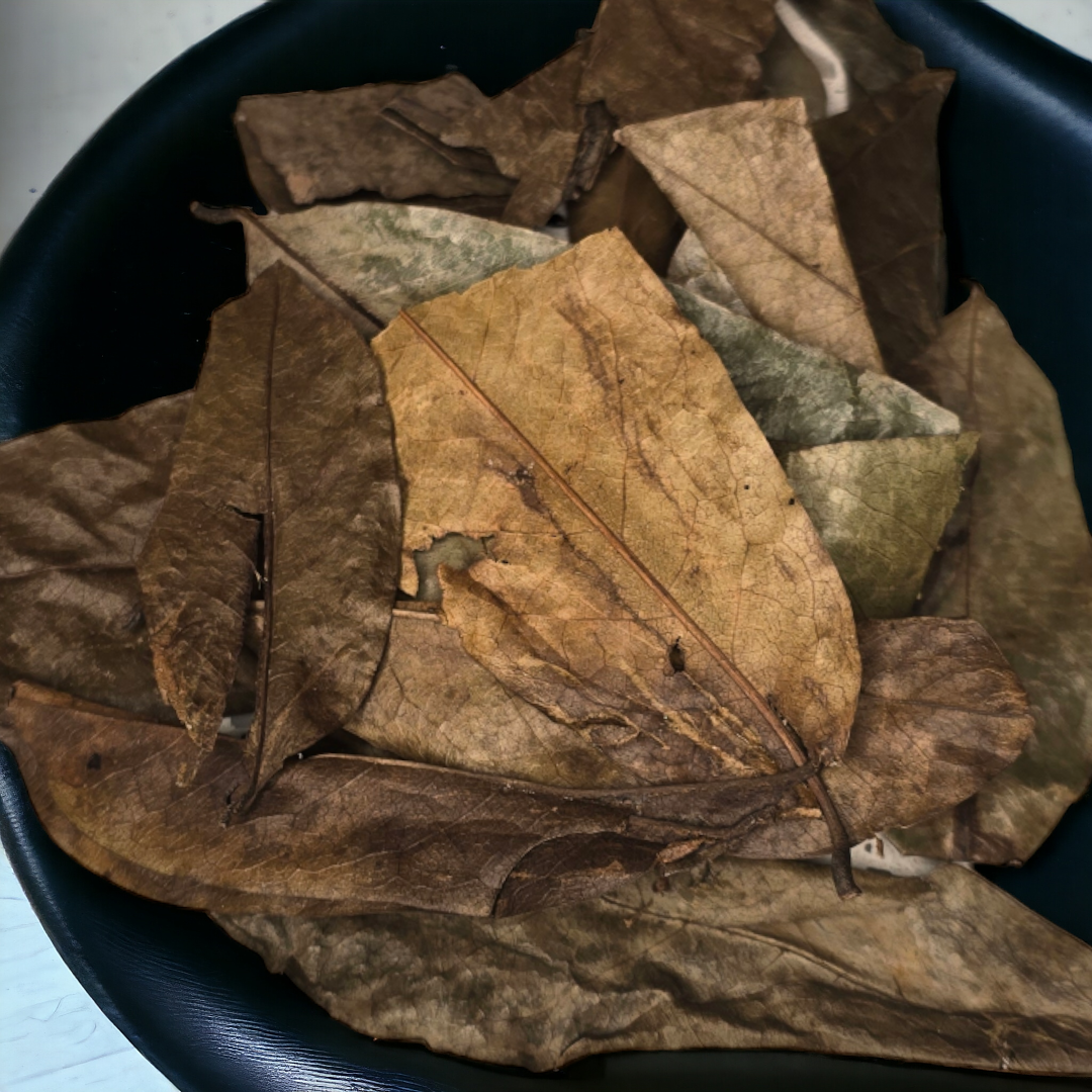 Soursop Leaf