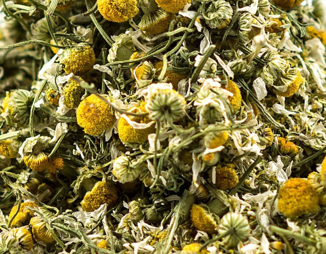 Chamomile