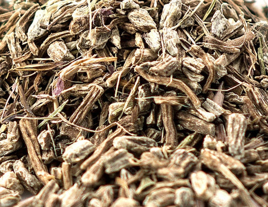 Echinacea Root