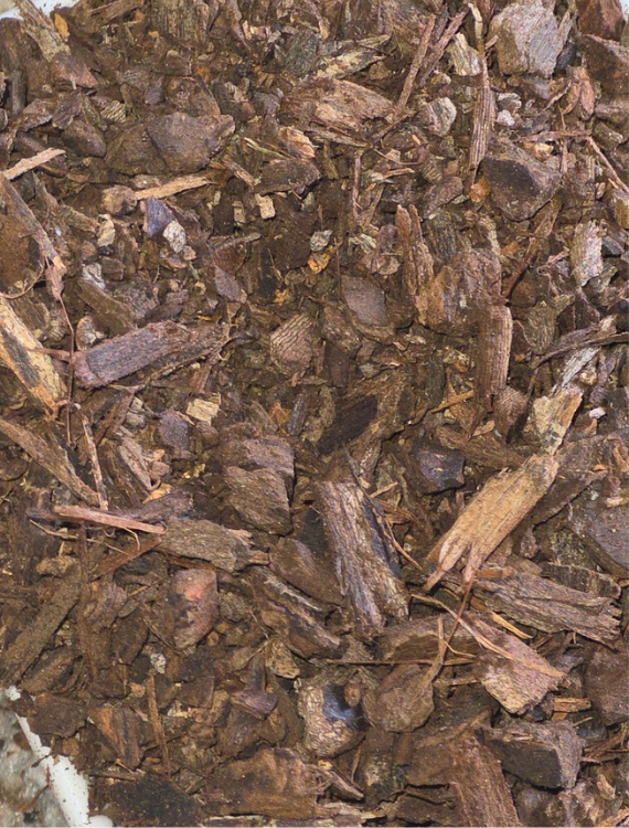Butternut Bark