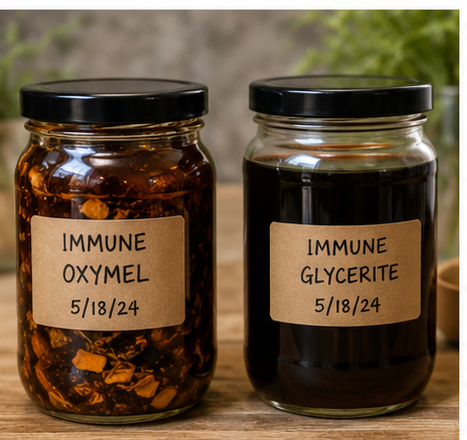 Herbal Workshop: ACV & Glycerin Immune