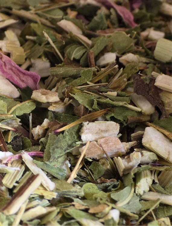 Echinacea Herb