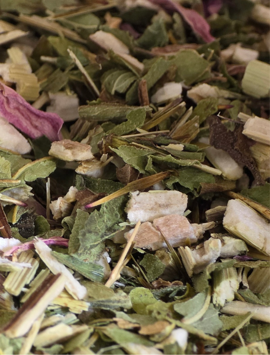 Echinacea Herb