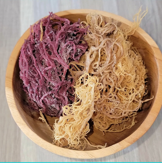 Gold Sea Moss